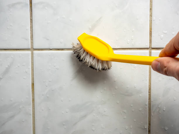 Best Mold Removal Near Me  in Novi, MI