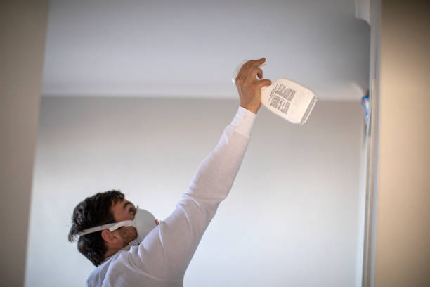 Trusted Novi, MI Mold Removal Experts