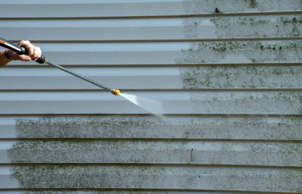 Certified Mold Removal in Novi, MI