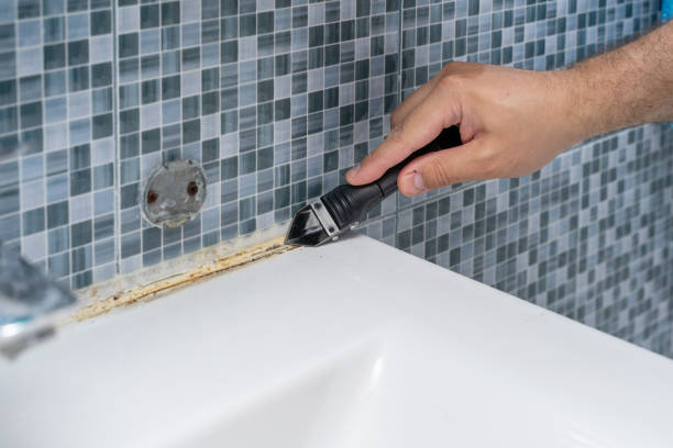 Best Office Mold Removal Services  in Novi, MI