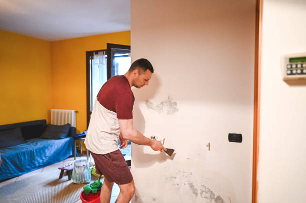 Best Commercial Mold Removal  in Novi, MI